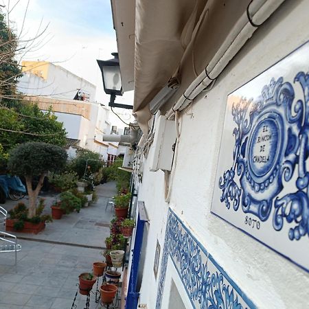 Tipico Y Pintoresco Patio De Vecinos, Con Encanto Sevilla Kültér fotó