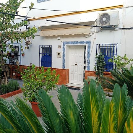 Tipico Y Pintoresco Patio De Vecinos, Con Encanto Sevilla Kültér fotó
