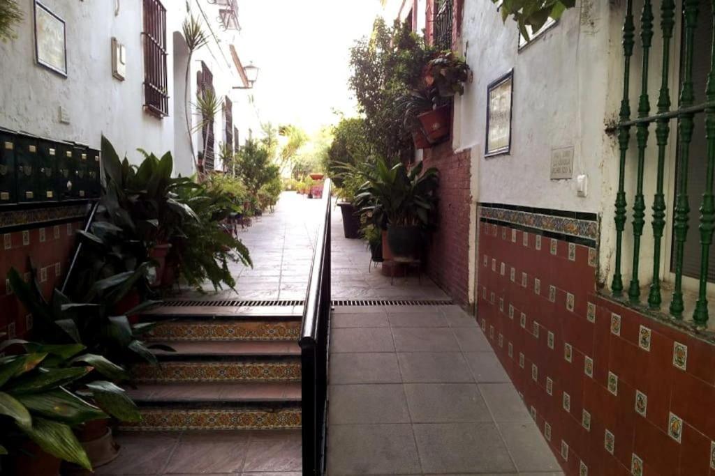 Tipico Y Pintoresco Patio De Vecinos, Con Encanto Sevilla Kültér fotó