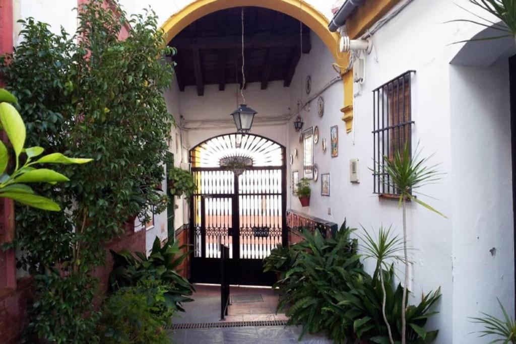 Tipico Y Pintoresco Patio De Vecinos, Con Encanto Sevilla Kültér fotó