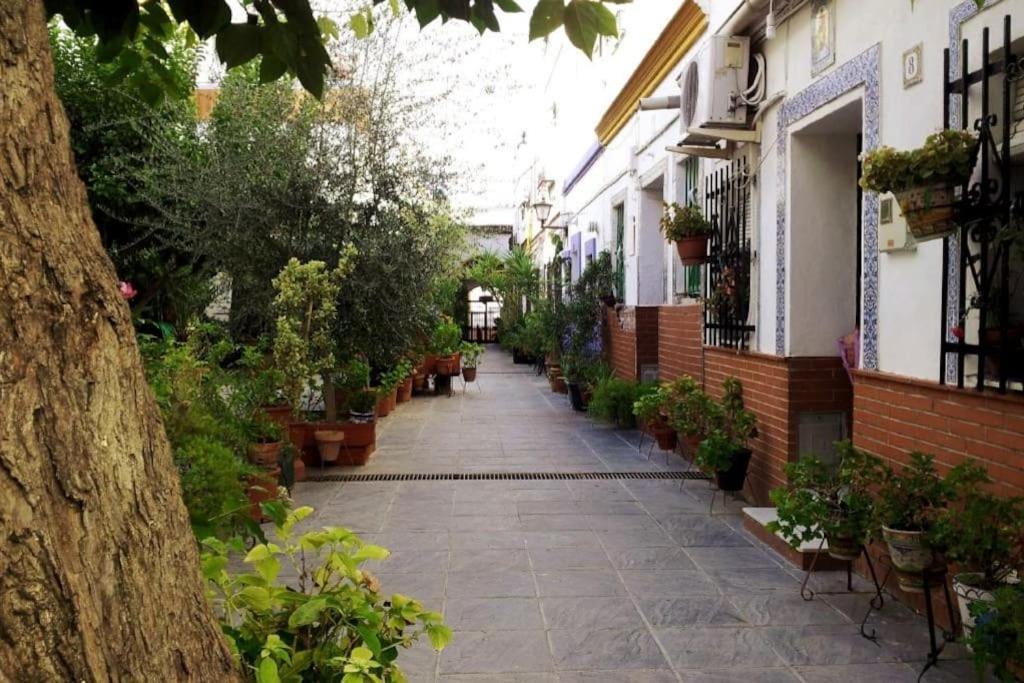 Tipico Y Pintoresco Patio De Vecinos, Con Encanto Sevilla Kültér fotó