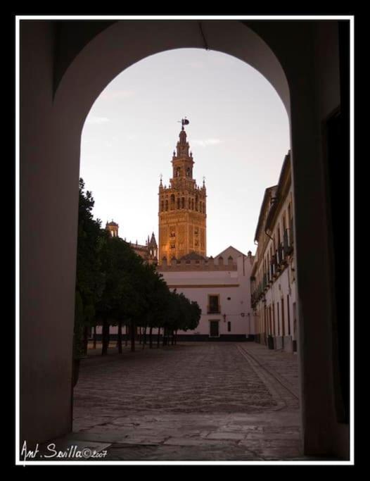 Tipico Y Pintoresco Patio De Vecinos, Con Encanto Sevilla Kültér fotó