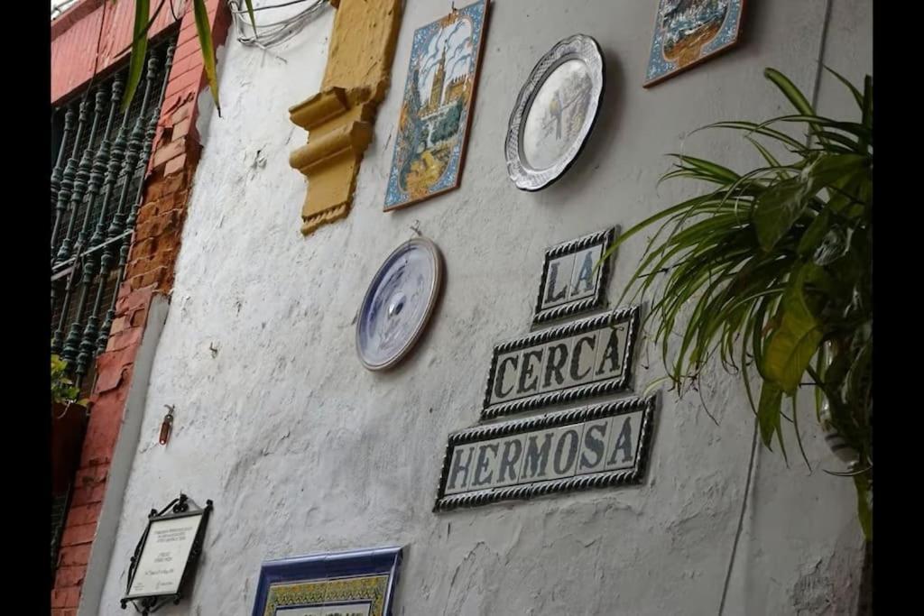 Tipico Y Pintoresco Patio De Vecinos, Con Encanto Sevilla Kültér fotó
