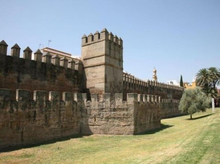 Tipico Y Pintoresco Patio De Vecinos, Con Encanto Sevilla Kültér fotó