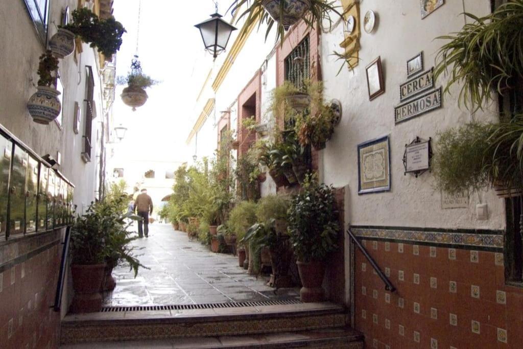 Tipico Y Pintoresco Patio De Vecinos, Con Encanto Sevilla Kültér fotó