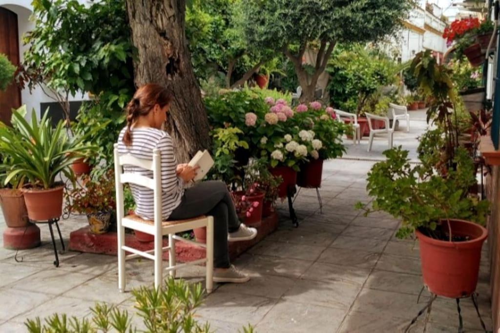 Tipico Y Pintoresco Patio De Vecinos, Con Encanto Sevilla Kültér fotó
