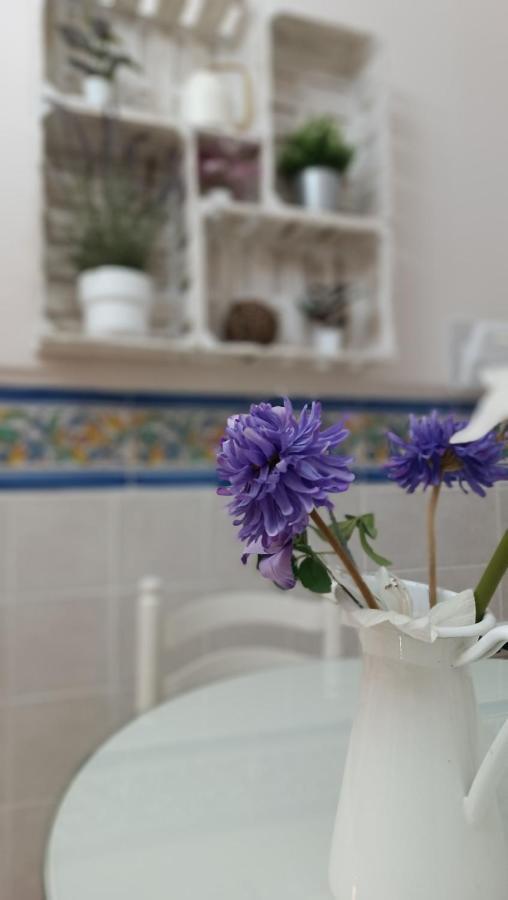 Tipico Y Pintoresco Patio De Vecinos, Con Encanto Sevilla Kültér fotó