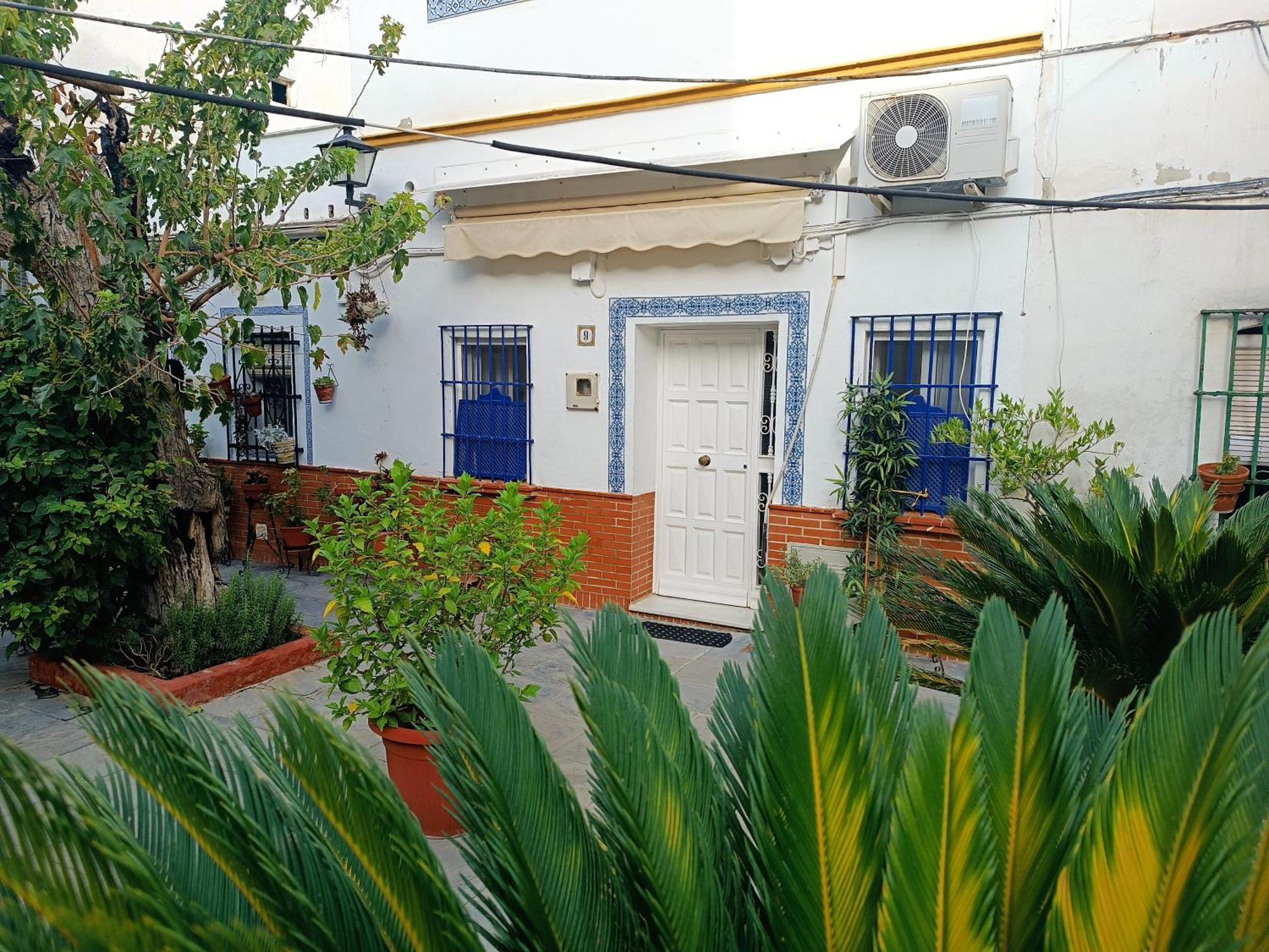 Tipico Y Pintoresco Patio De Vecinos, Con Encanto Sevilla Kültér fotó