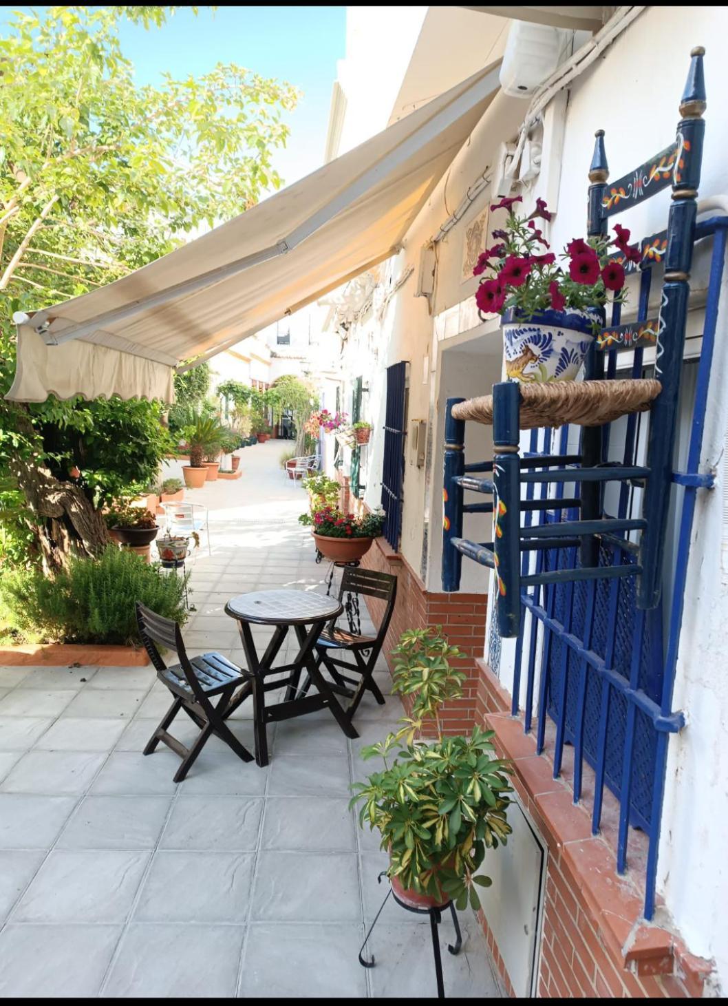 Tipico Y Pintoresco Patio De Vecinos, Con Encanto Sevilla Kültér fotó